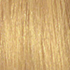 Golden Blonde (#7)