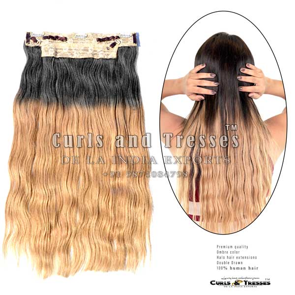 halo hair extensions, halo hair extensions in india, halo hair extensions in kolkata, halo extensions price, halo extensions online, Clip on hair extensions in india, seamless clip on hair extensions, hair extensions in india, virgin hair extensions in india, virgin hair extensions, virgin hair extensions in kolkata, human hair extensions in india, human hair extensions in kolkata, human hair extensions, hair extensions manufacturer in india, hair extension brands in india